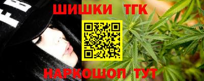 стаф Кандалакша