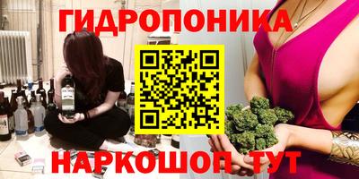 стаф Кандалакша