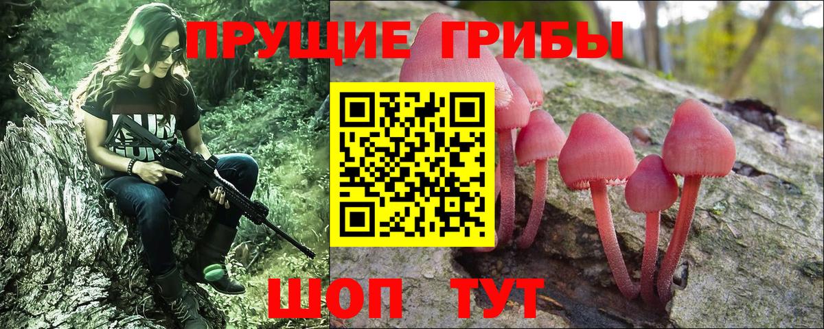 Галлюциногенные грибы Cubensis Котовск