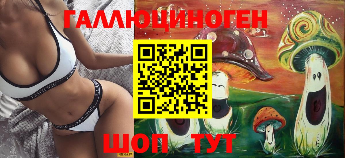 Котовск  Псилоцибиновые грибы MAGIC MUSHROOMS  Вход с VPN 